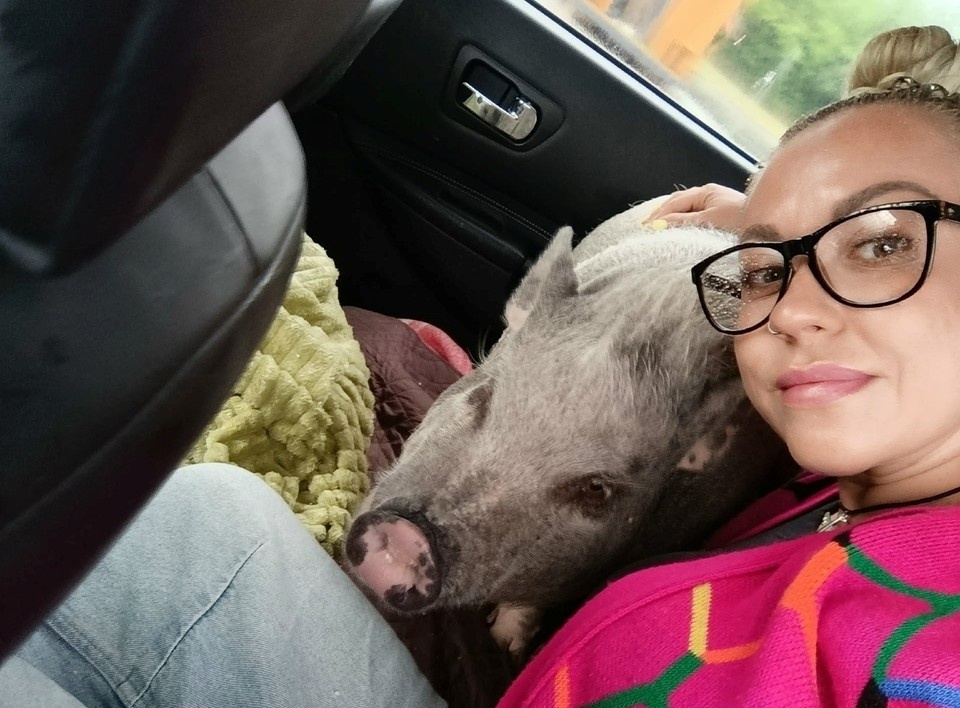    Елена обожает свою свинку Розу. Фото: личный архив героини публикации.