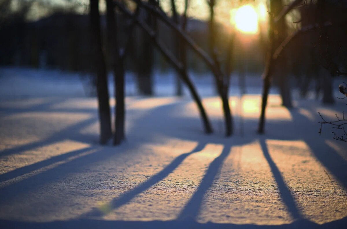    фото: Царьград