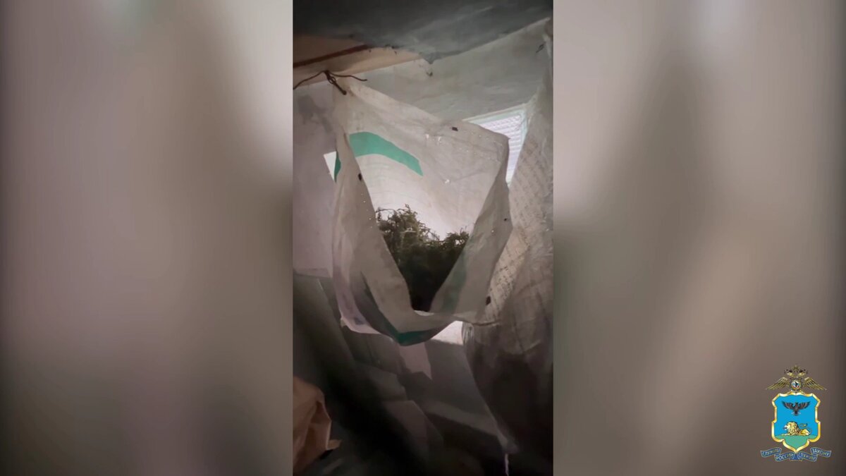    Фото: пресс-служба УМВД по Белгородской области