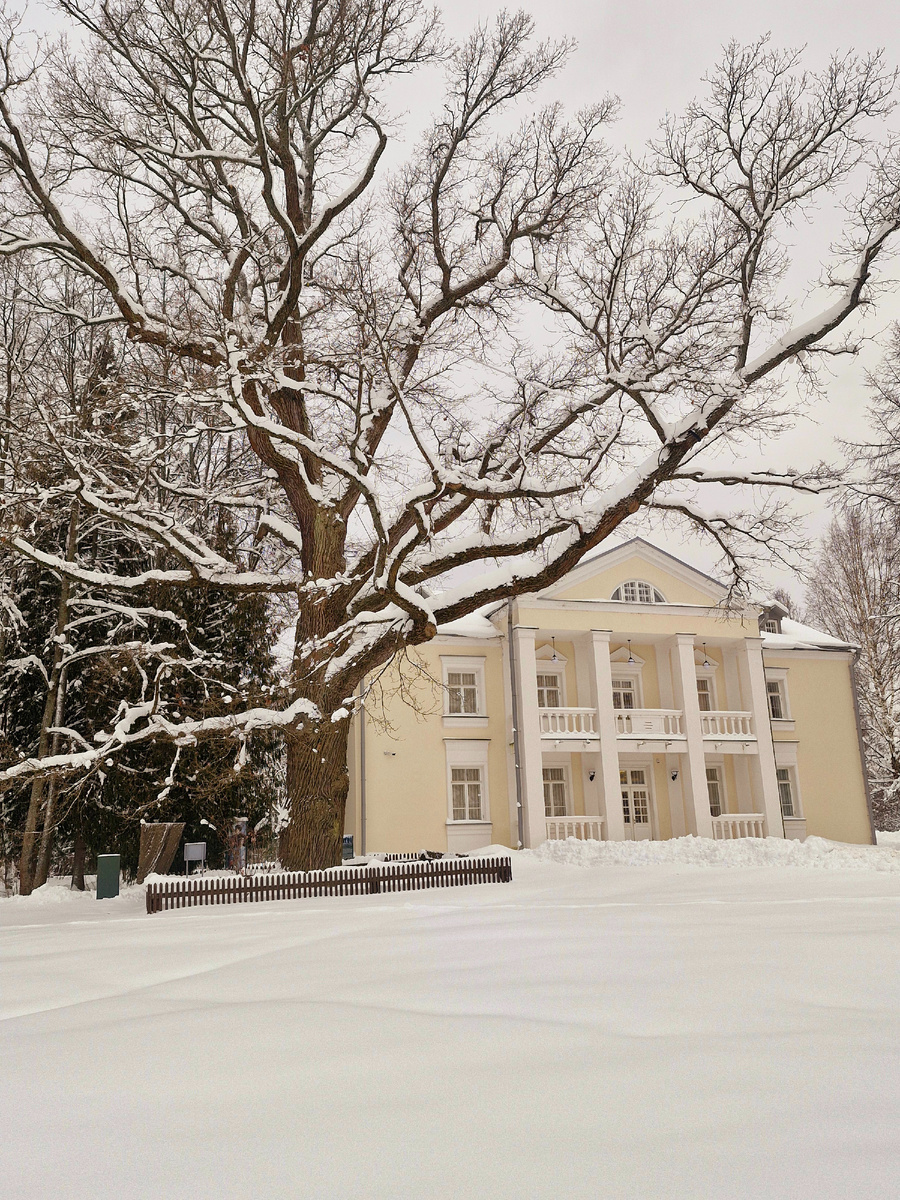 Фото автора.