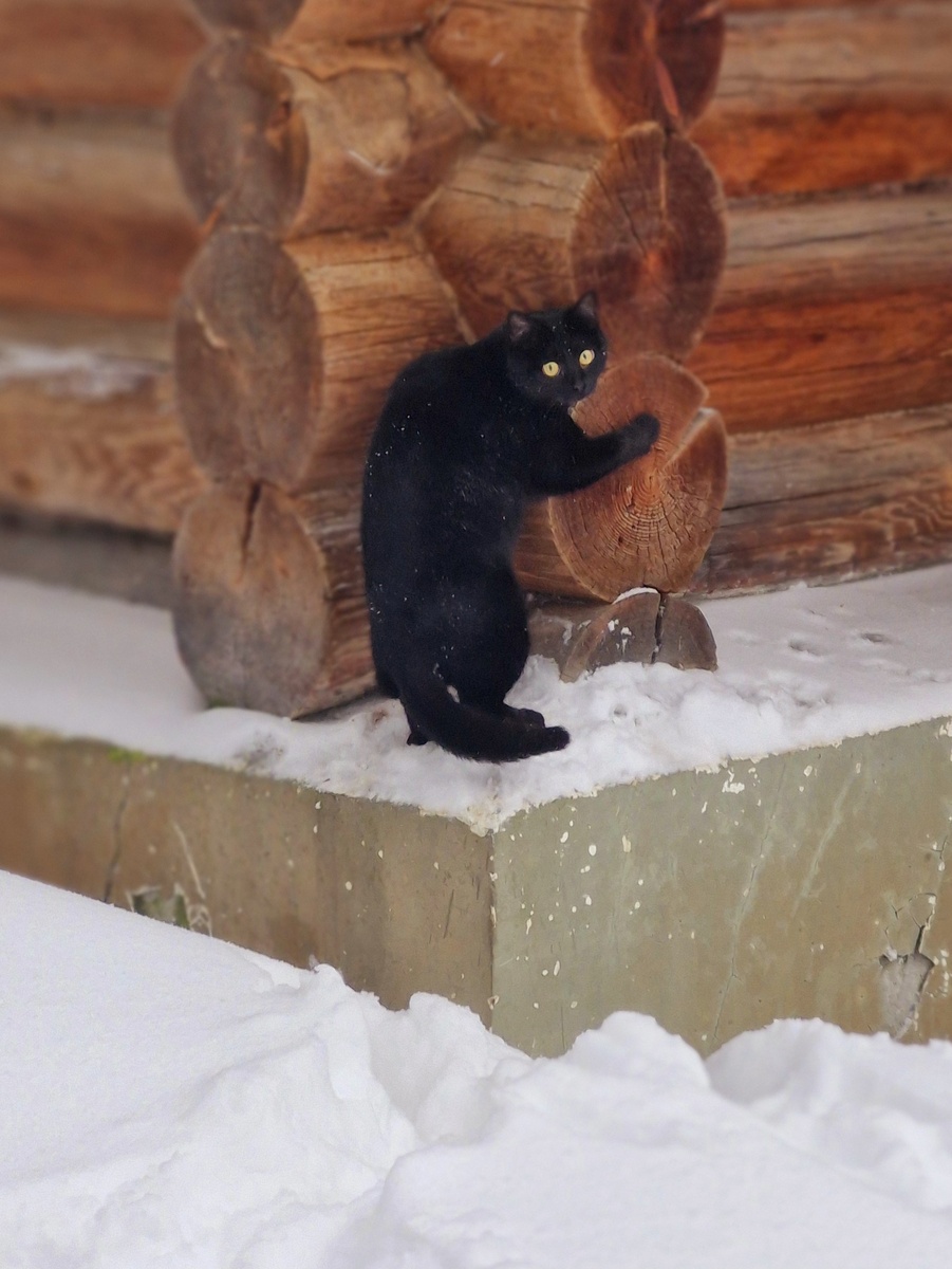 Фото автора.