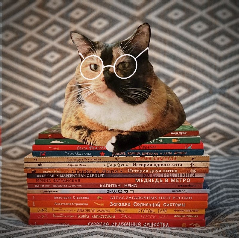 Коша Ириска читает книги