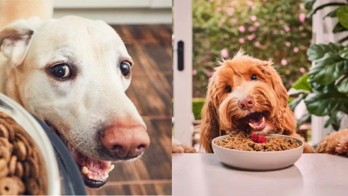 Вкусно выглядит