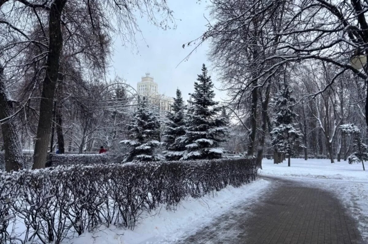    Афиша на 24 и 25 января.