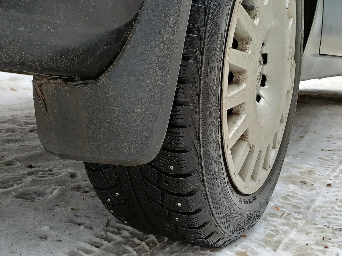    Фото: ГТРК Карелия