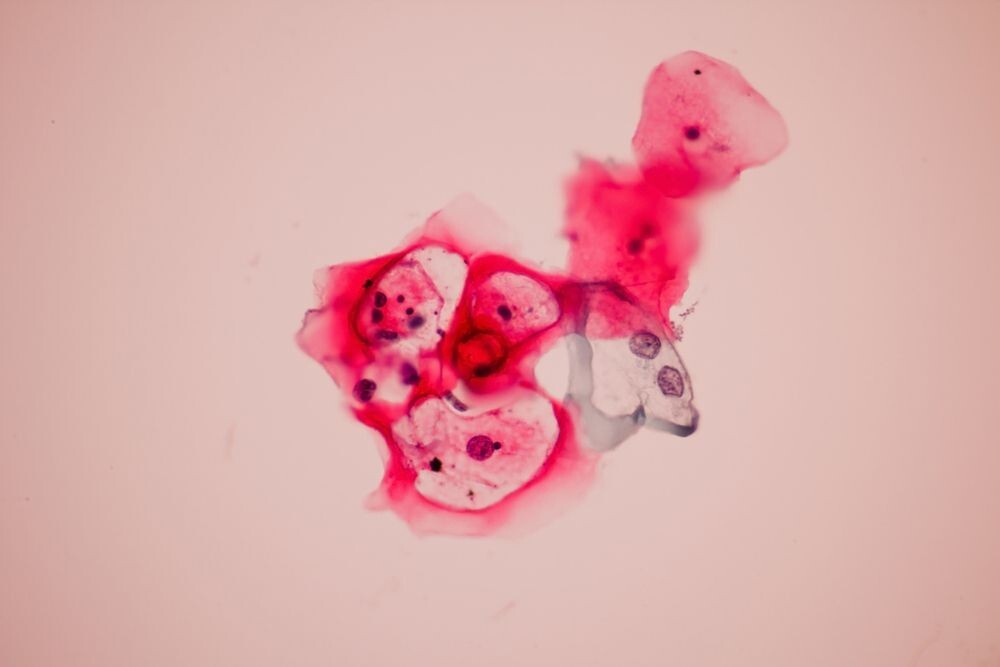 Фото: Komsan Loonprom/Shutterstock