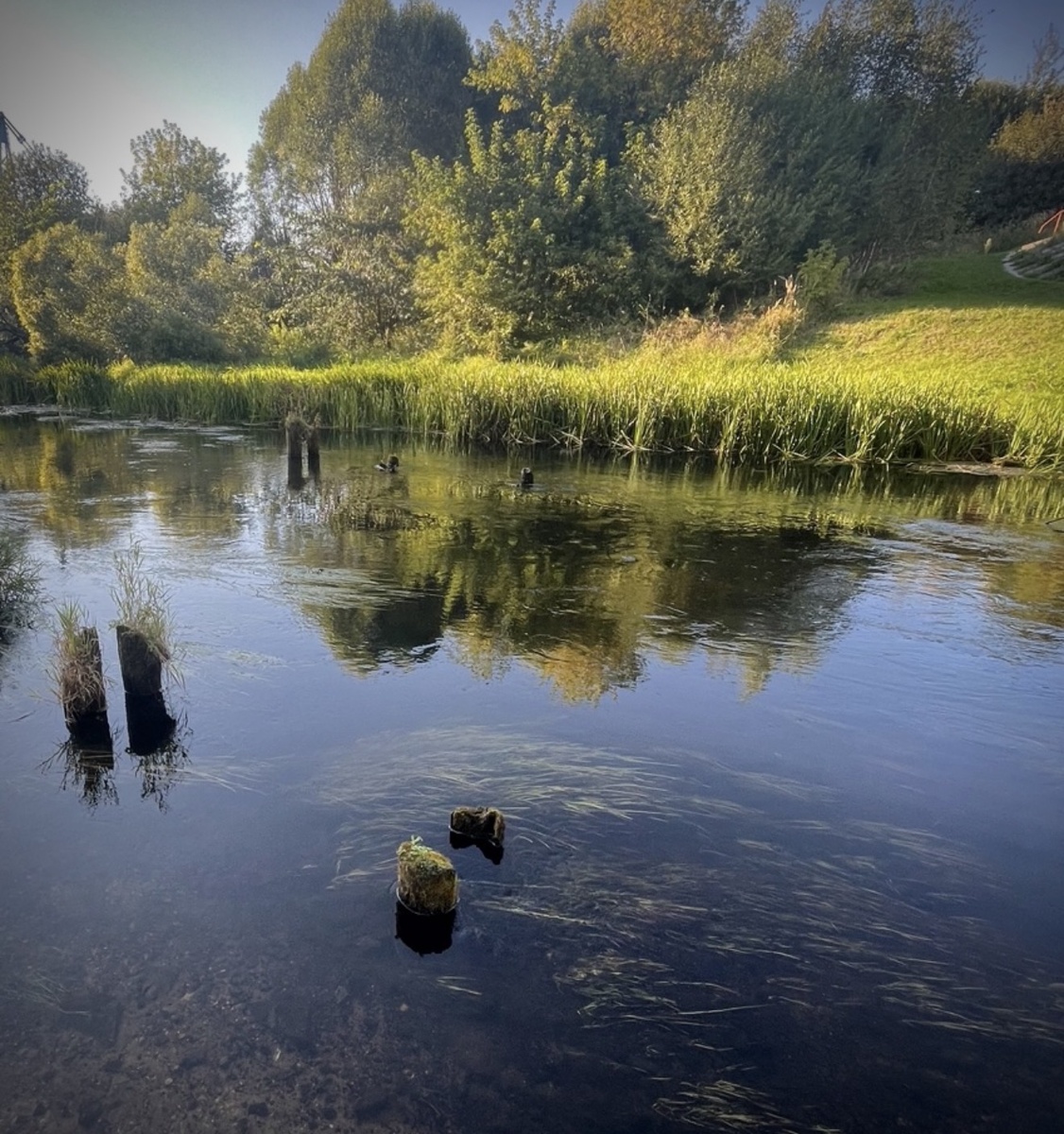 В дождливые времена столбики от остов моста не видны 