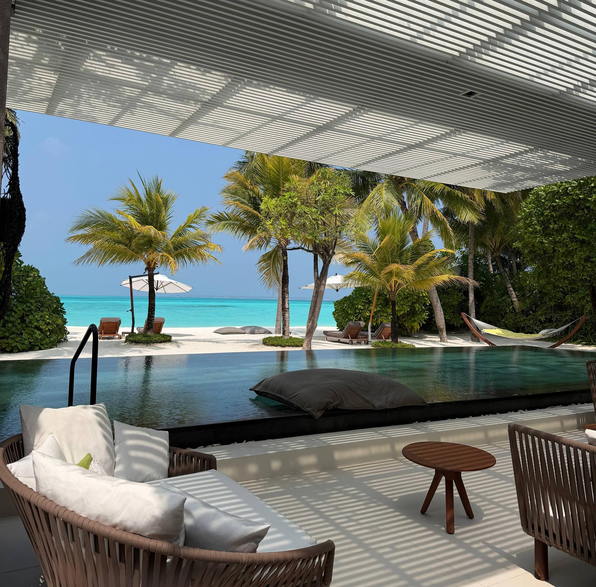    Фото: Telegram @reshetovalife