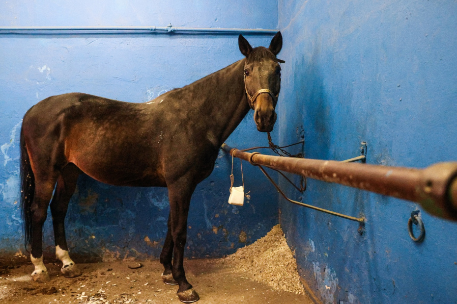    Сергей Булкин/NEWS.ru