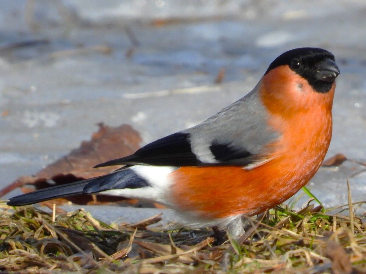 Фото: Из личного архива Руслана Шайкина