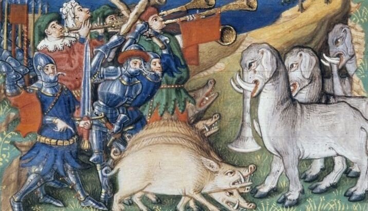 Ойкумена. Свиньи на поле боя.