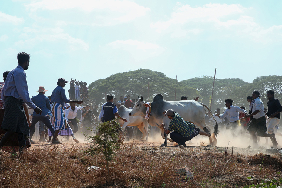    Myo Kyaw Soe/XinHua/Global Look Press