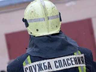 В Башкирии с начала года произошло 275 пожаров