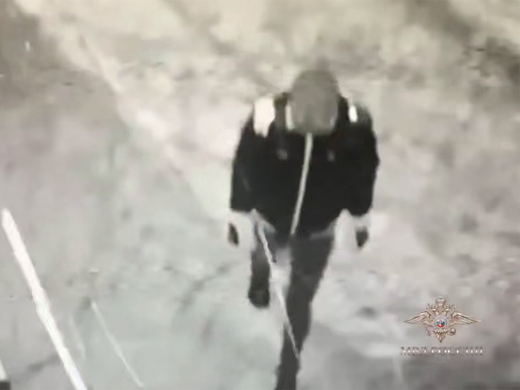     Фото: МВД России