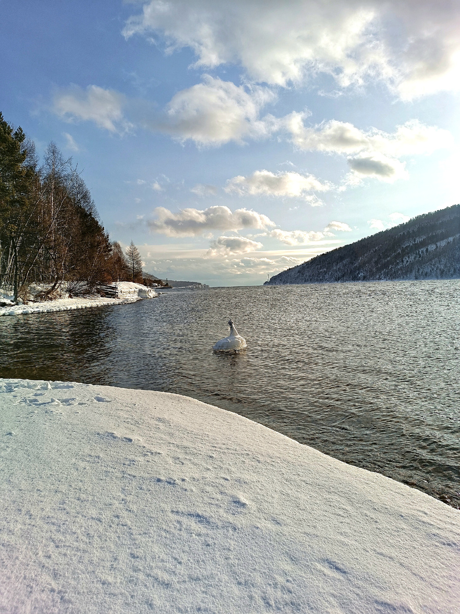 2. Набережная р.Ангары вблизи п.Никулиха, Иркутский р-н. Льдина на лебедя похожа :))