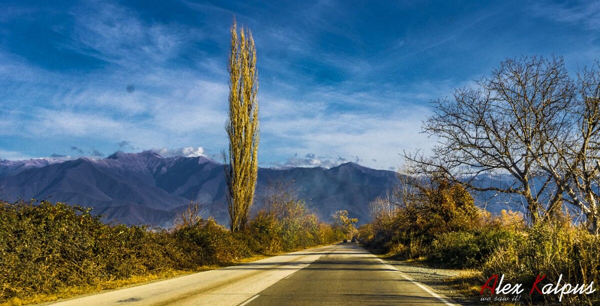 Дорога от Телави в сторону города Кварели. На заднем плане горы Кавкасиони. Алазанская долина.