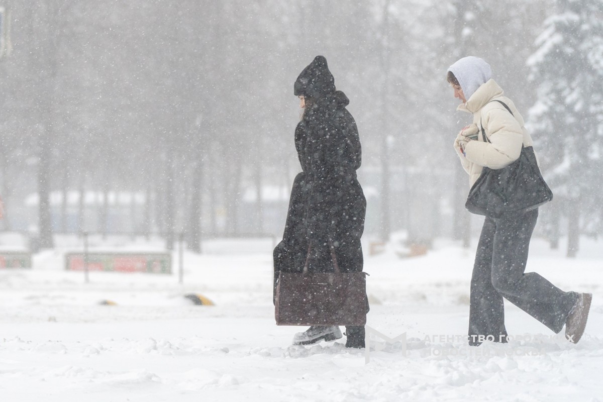 Фотограф: Александр Авилов