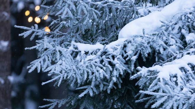 Фото: https://t.me/astrophotoboloto/26140?single