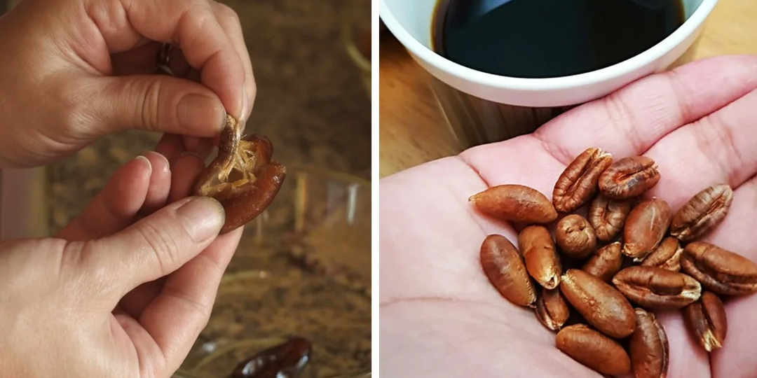 Я годами выбрасывала финиковые косточки. Оказалось, что в них содержится главное «лекарство» для сосудов и кишечника