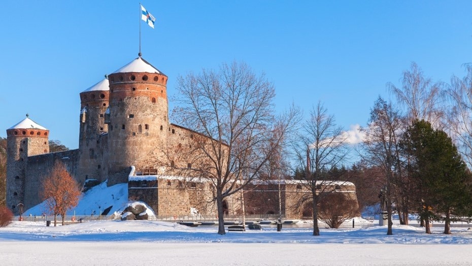 Автор фото: Evannovostro / Shutterstock / FOTODOM