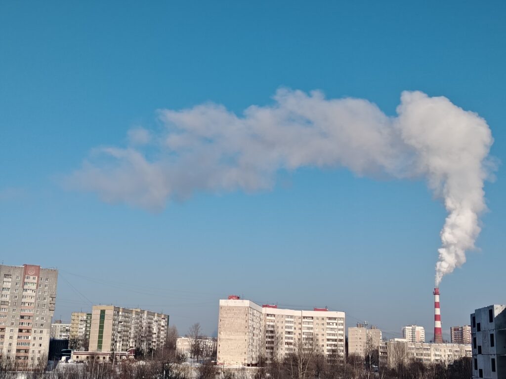    Фото: В курсе.ру Полина Анкушина