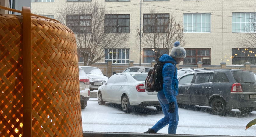    Фото progorod43.ru