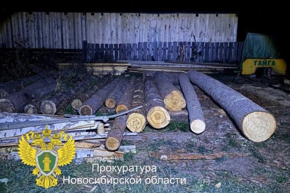    Фото: пресс-служба прокуратуры по Новосибирской области.