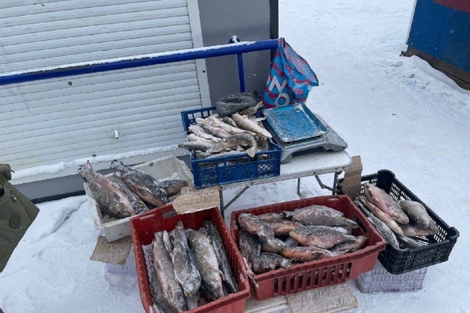    Продукцию изъяли у нелегальных торговцев. Фото: мэрия Новосибирска