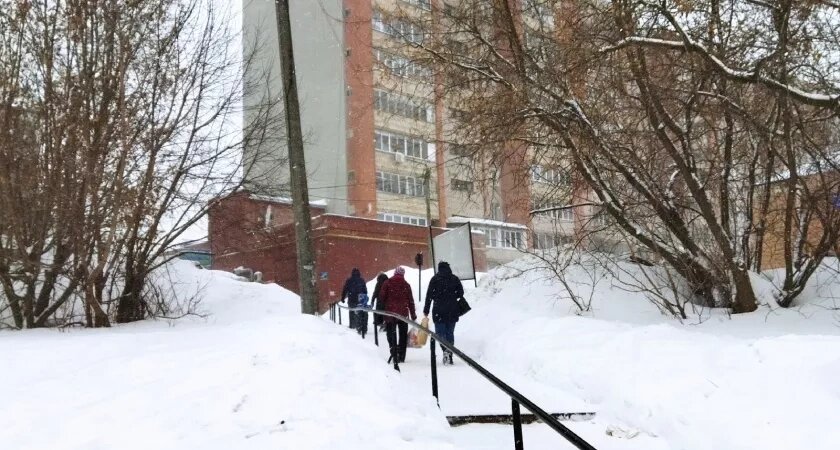    Фото progorod43.ru