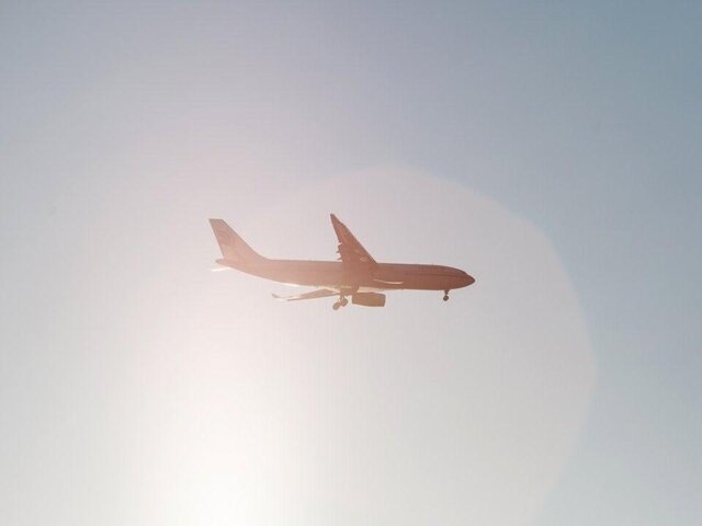    Фото: depositphotos/Shebeko