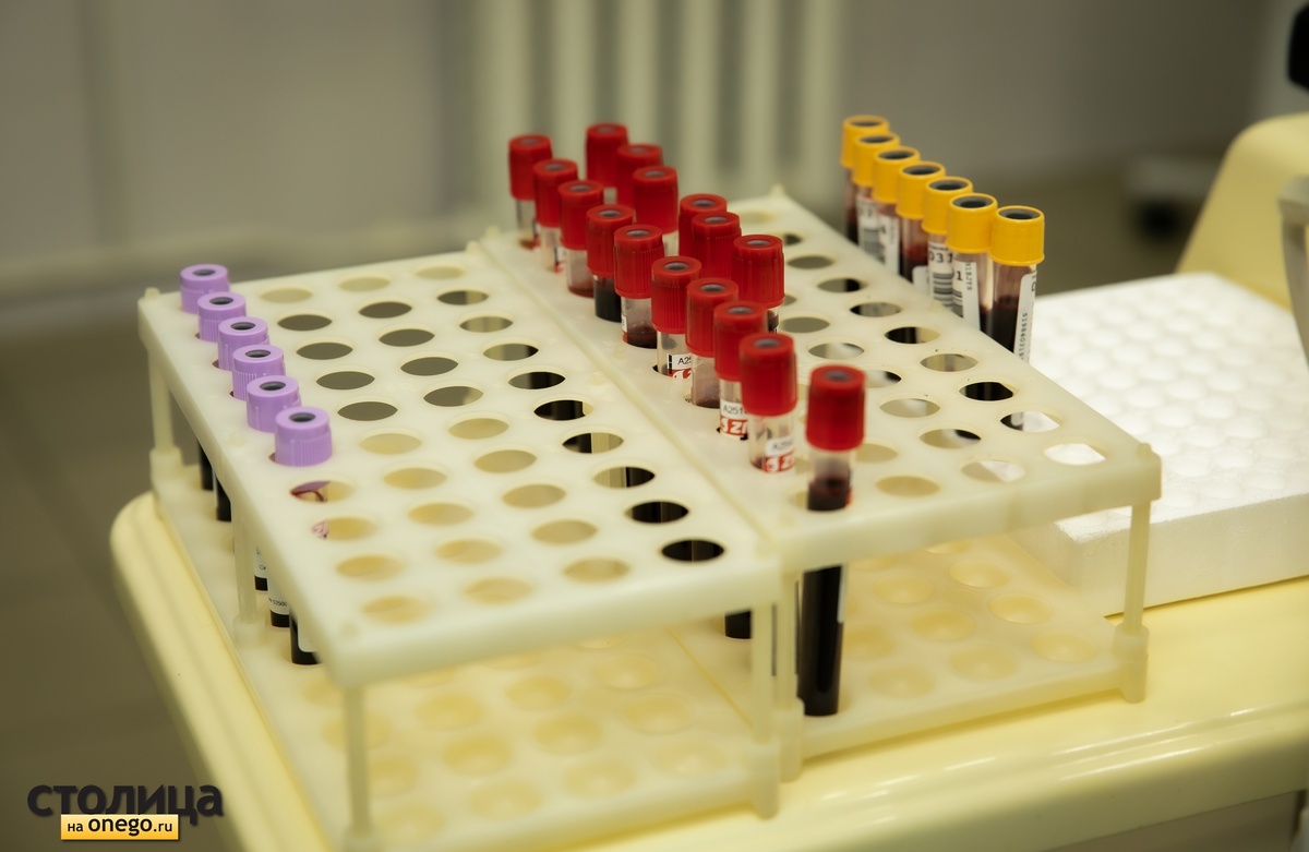    фото: © Людмила Корвякова