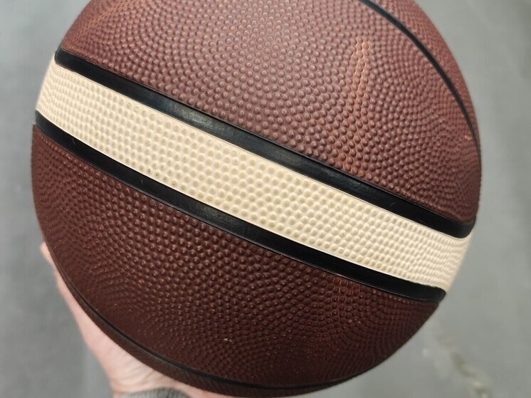     Фото: архив МК в Питере.