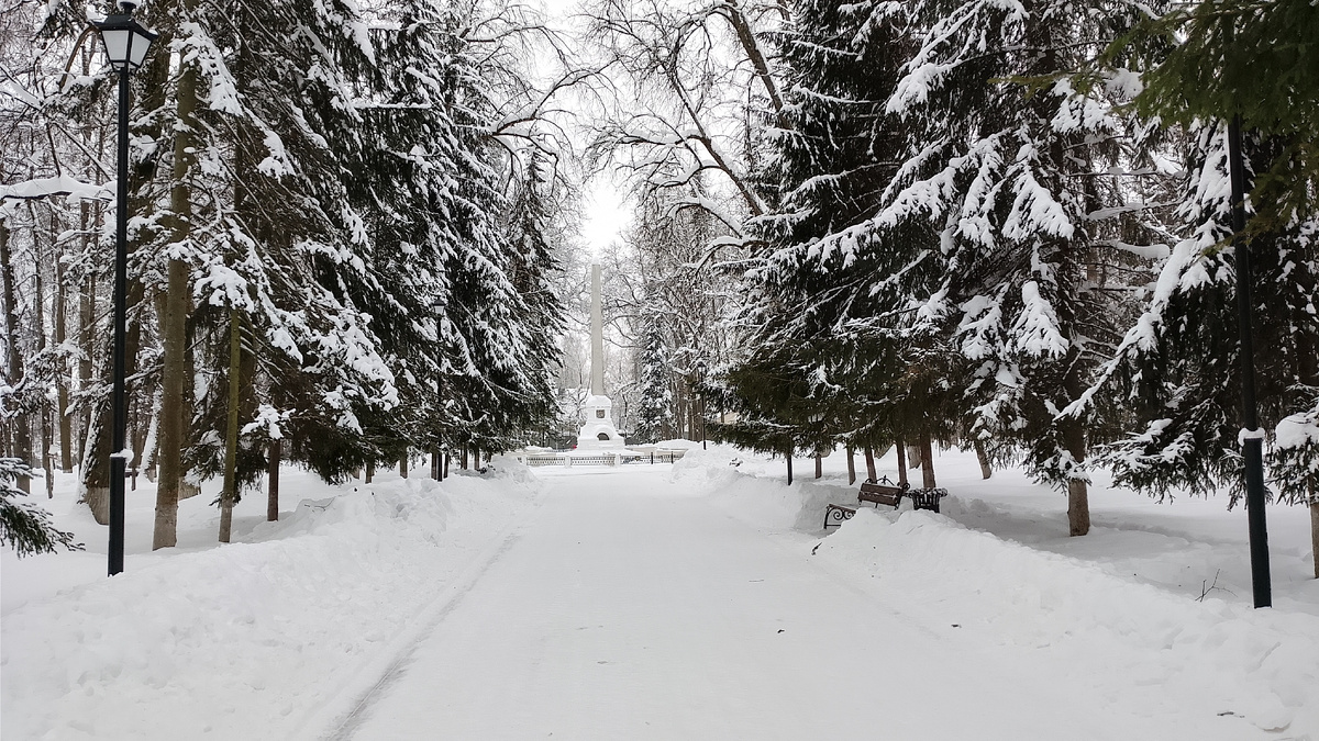 Парк им. К. Э. Циолковского