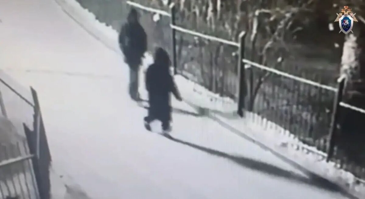    Фото: кадр видео ГСУ СК России по Красноярскому краю и Хакасии