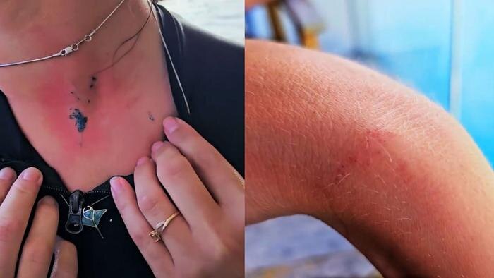 Обложка © TikTok/ / ninelwithsharks