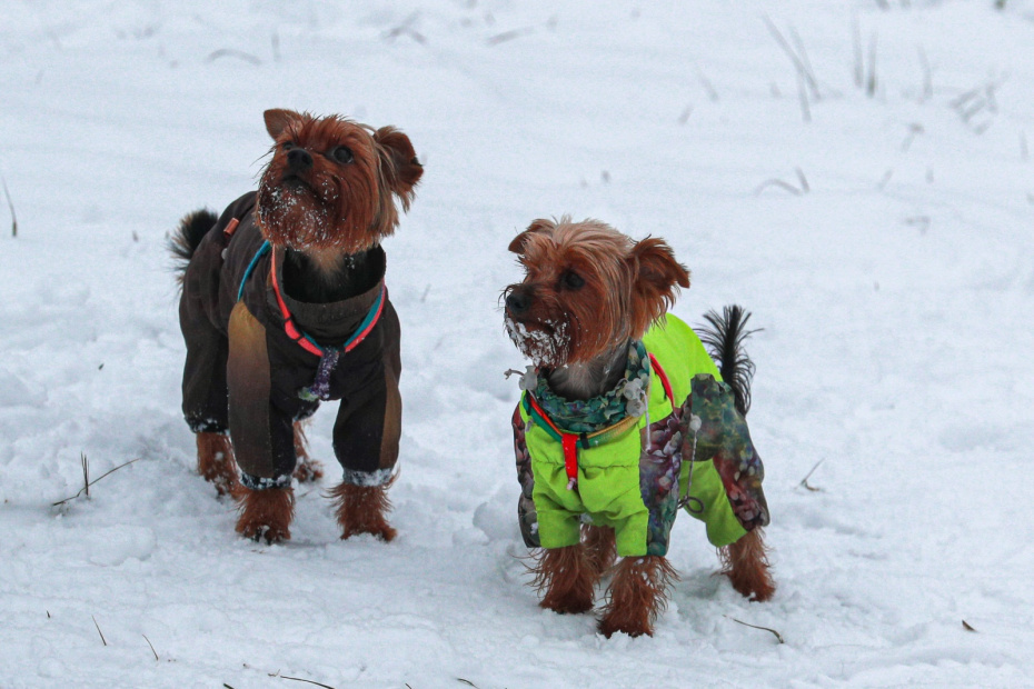    Сергей Булкин/NEWS.ru