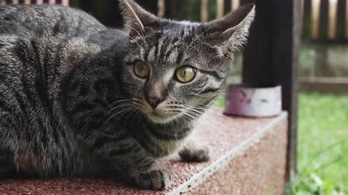 Фото из Интернета. 