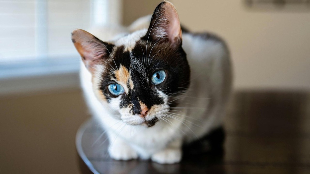 Фото из Интернета.