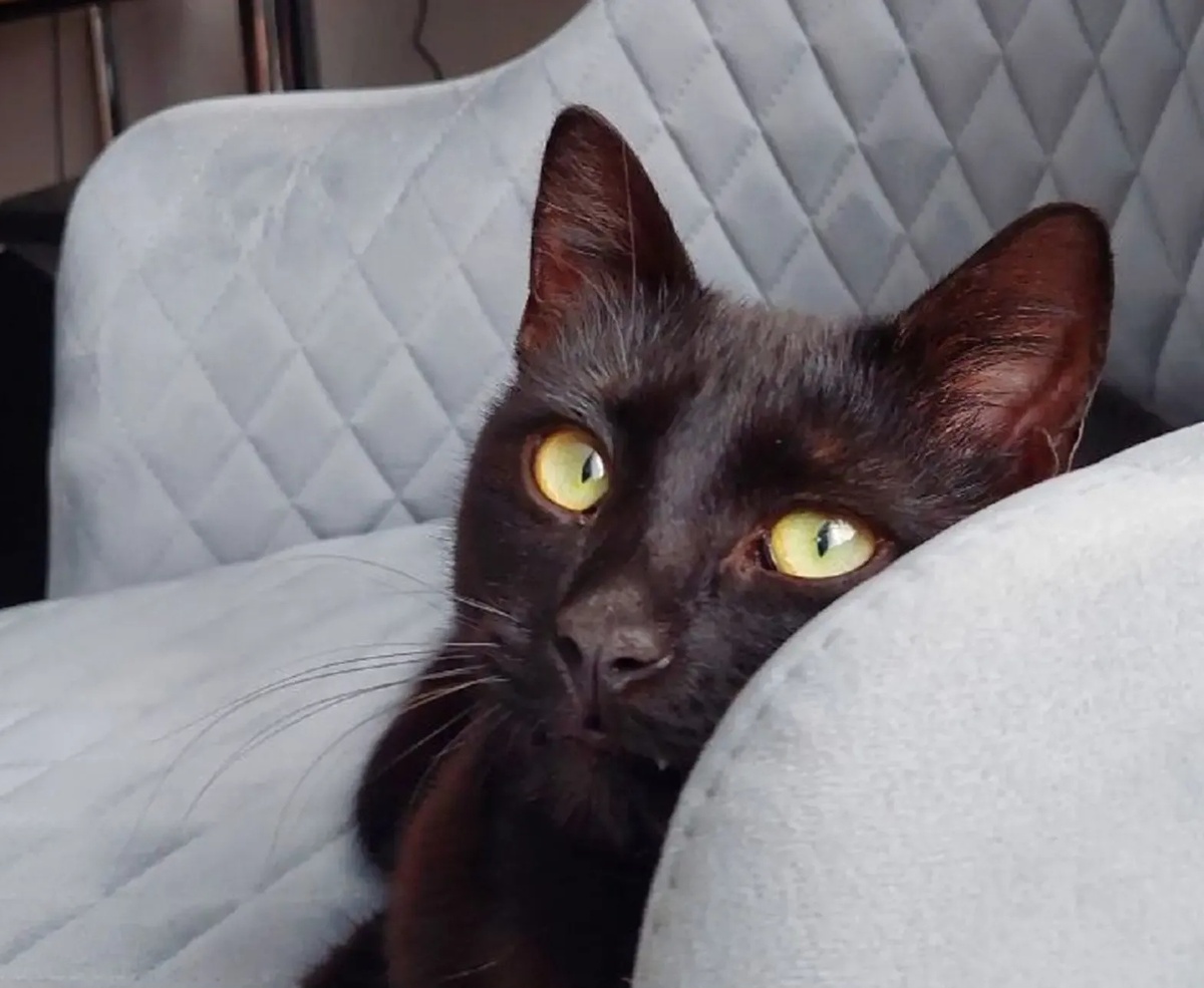 Фото из Интернета. 