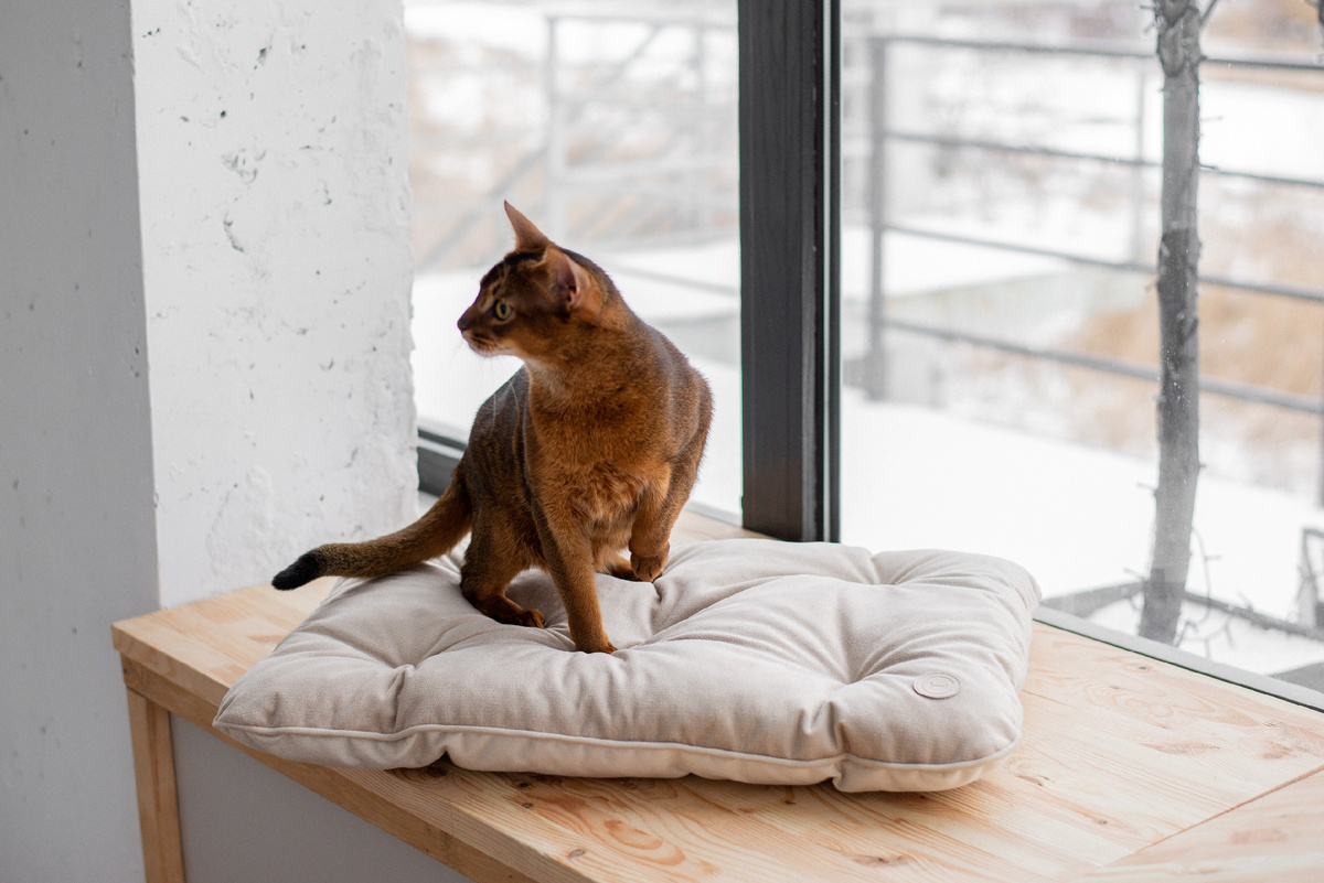 Фото из Интернета. 