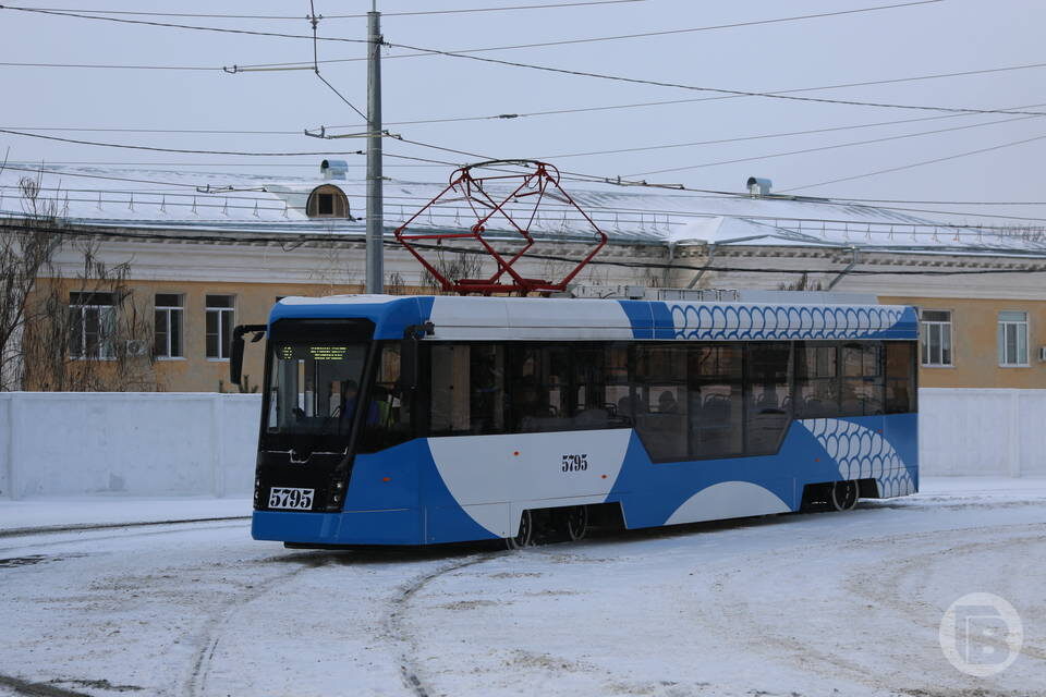    Фото: Матвей Горбунов / "Городские вести"