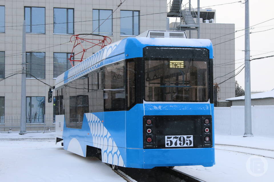    Фото: Матвей Горбунов / "Городские вести"