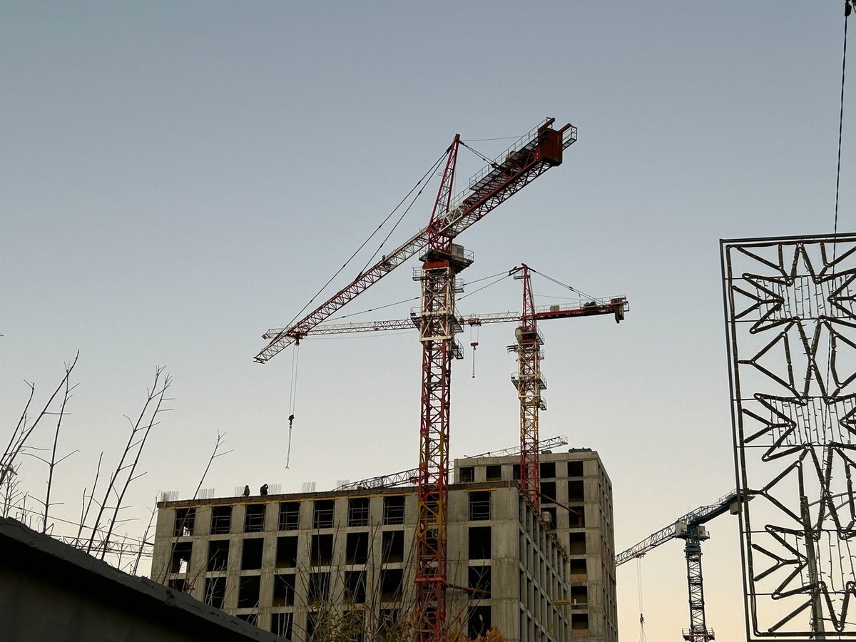    Фото: Анастасия Максименко