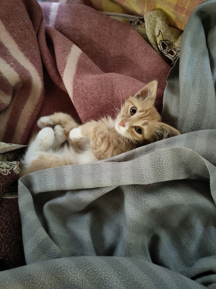 Феня в первые дни совместной жизни 