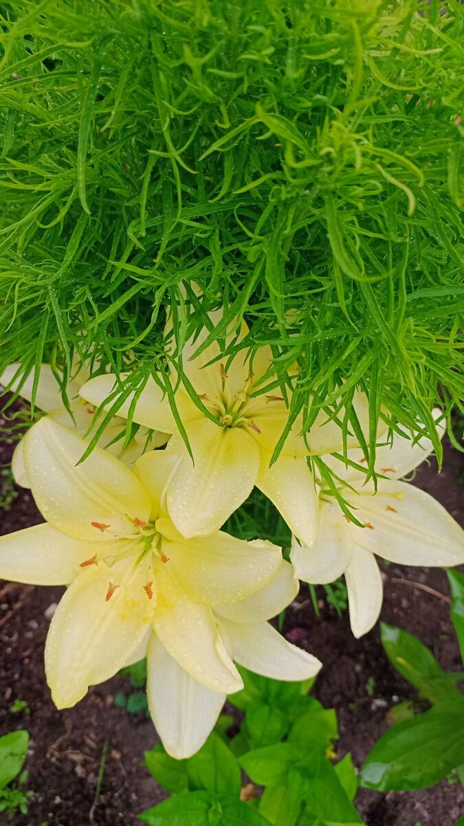 Фото из личного архива 