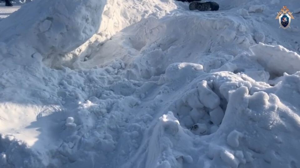    10-летняя девочка погибла в сугробе в Красноярском крае. Источник: ГСУ СК России по Красноярскому краю и Республике Хакасия