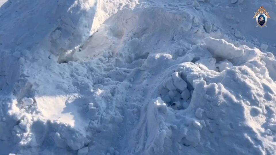    10-летняя девочка погибла в сугробе в Красноярском крае. Источник: ГСУ СК России по Красноярскому краю и Республике Хакасия