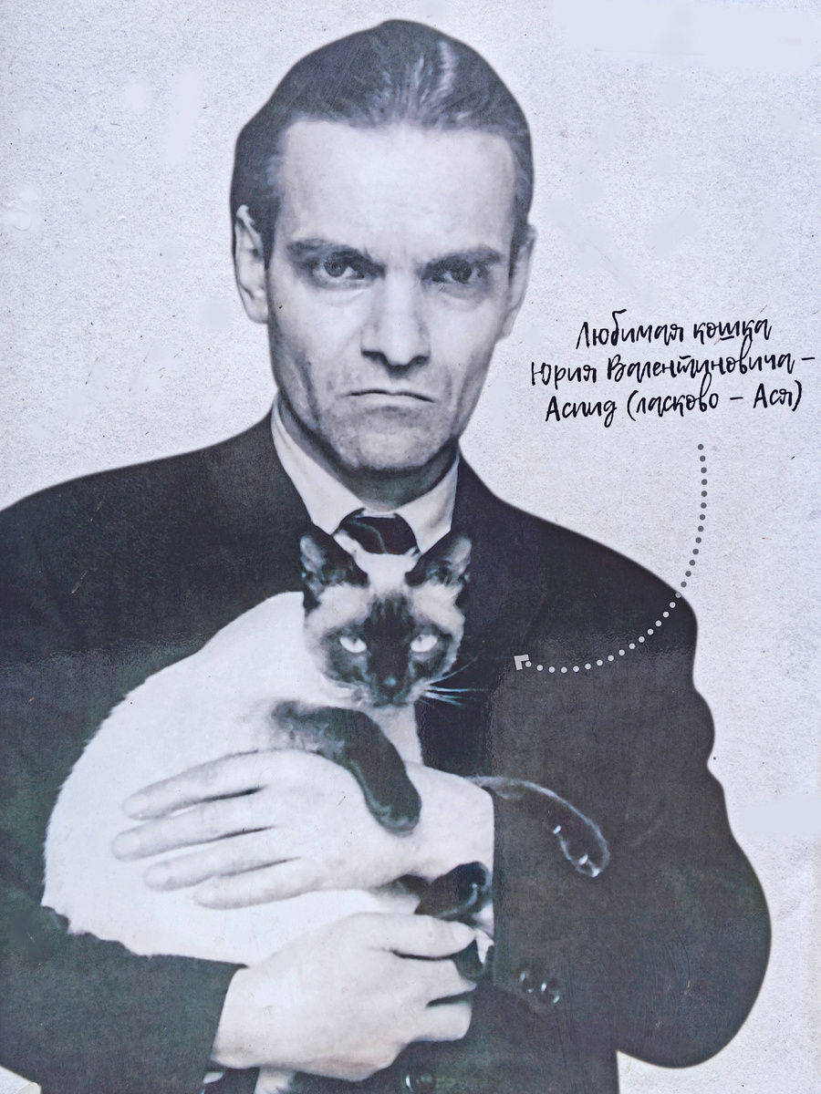 Юрий Кнорозов со своей кошкой 