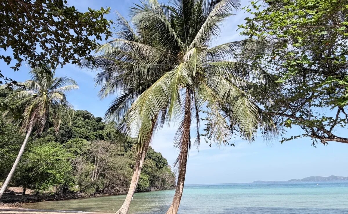    Январский ценопад: туры к теплому морю за 55 тысяч рублей на двоих с перелетом