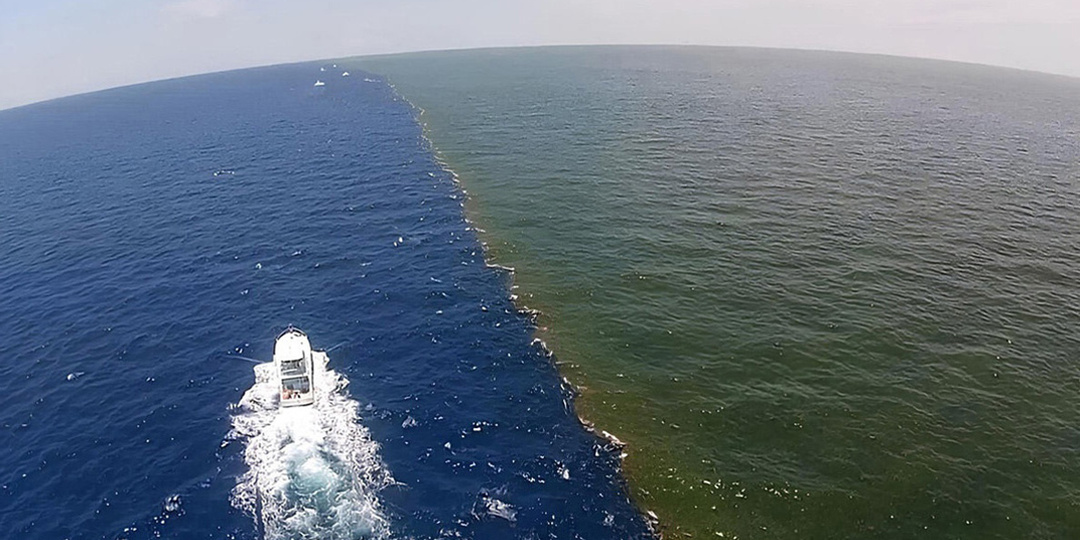 Эффект галоклина: из-за которого воды Тихого и Атлантического океанов не смешиваются